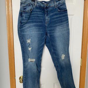 Lane Bryant High rise straight jeans.  Size 16